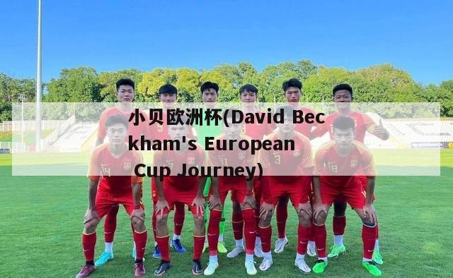 小贝欧洲杯(David Beckham's European Cup Journey)