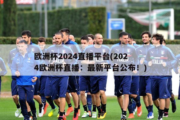 欧洲杯2024直播平台(2024欧洲杯直播：最新平台公布！)