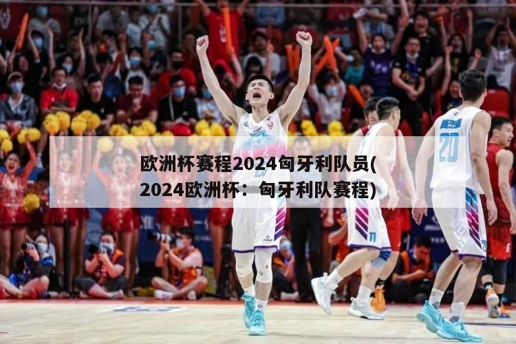 欧洲杯赛程2024匈牙利队员(2024欧洲杯：匈牙利队赛程)