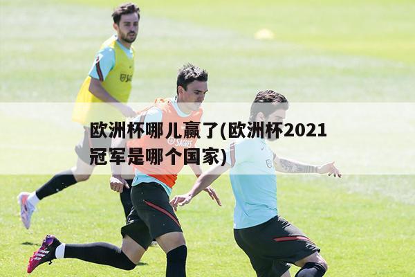 欧洲杯哪儿赢了(欧洲杯2021冠军是哪个国家)