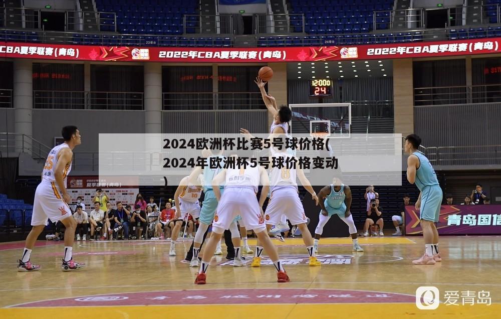 2024欧洲杯比赛5号球价格(2024年欧洲杯5号球价格变动)